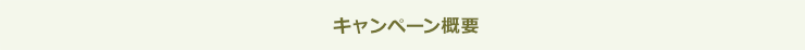 キャンペーン概要
