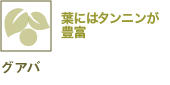 �t�ɂ̓^���j�����L�x �O�A�o