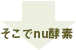 そこで酵素