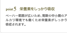point5 �h�{�f����������z��