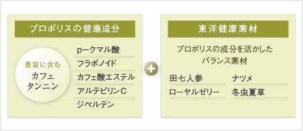 東洋健康素材パワーを配合
