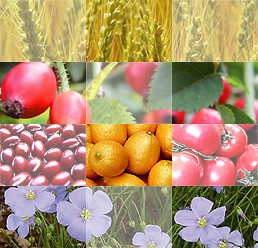 �T�v�������g�V���[�Y