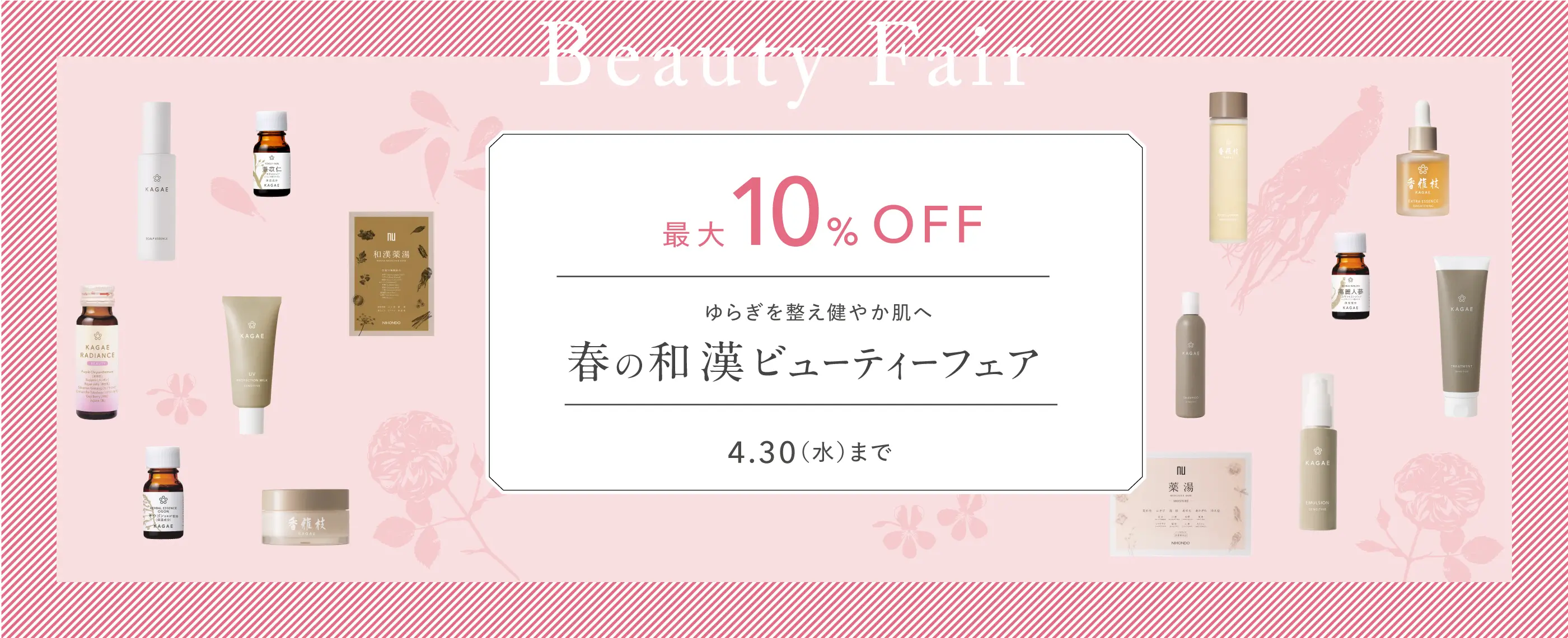 バランスフード　ポイント10倍