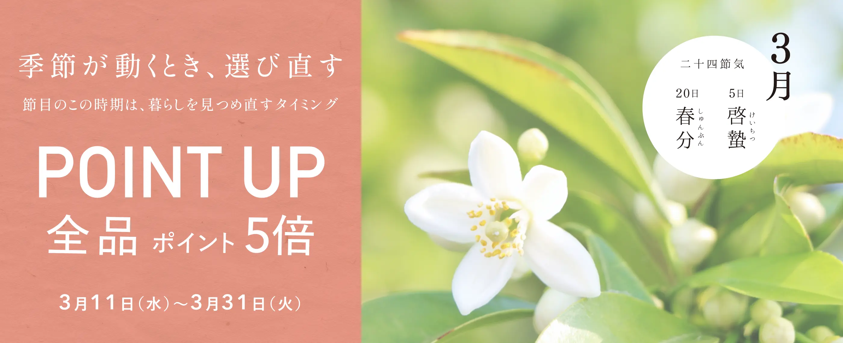 3月全品ポイント5倍 節目のこの時期は、暮らしを見つめ直すタイミング