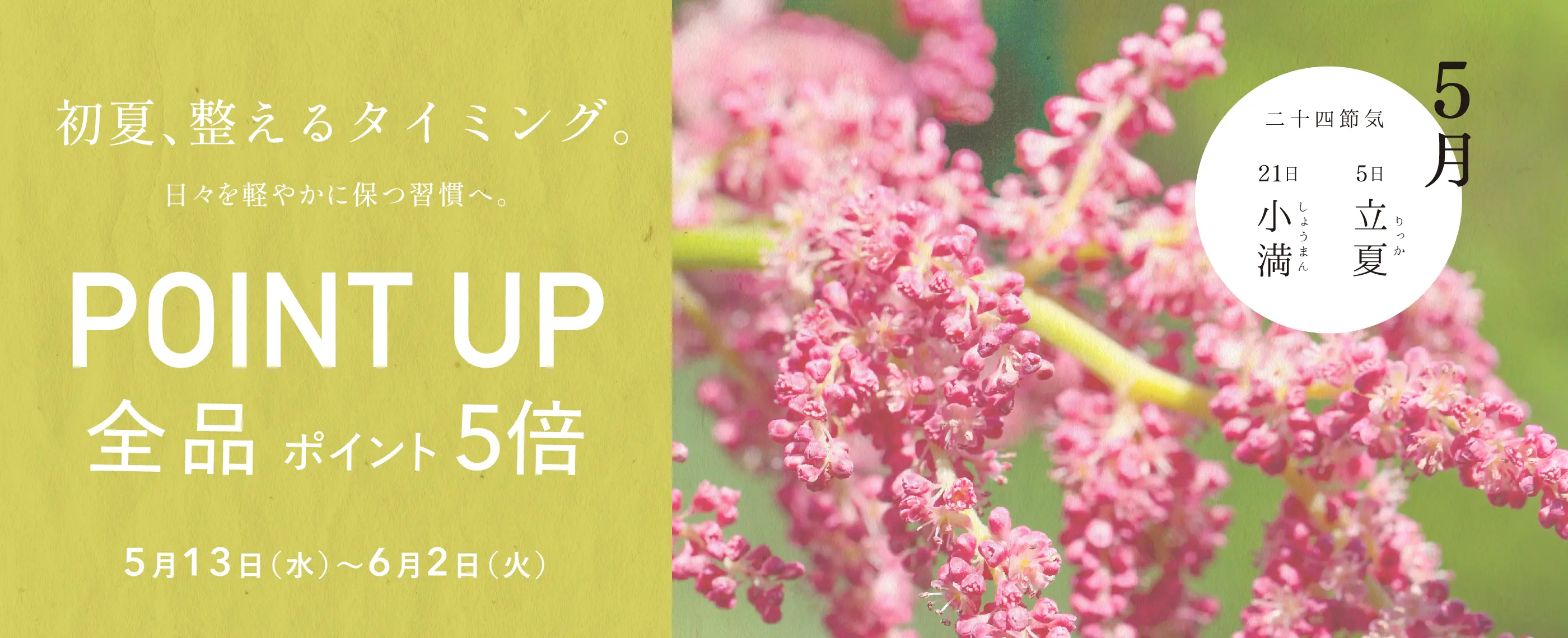 POINT UP 全品ポイント5倍 5月13日（水）〜6月2日（火）