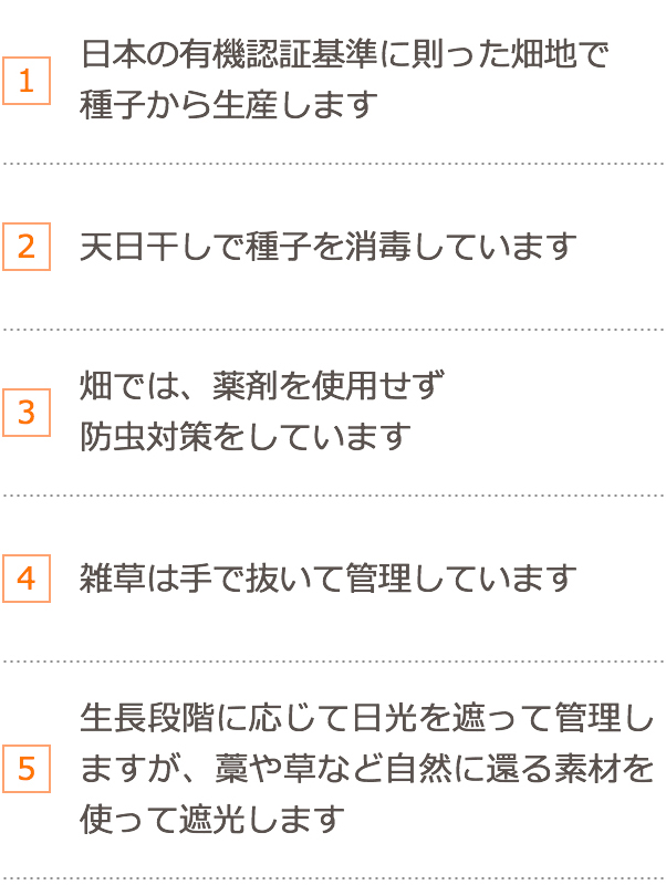 1.日本の有機認証基準に則った畑地で 種子から生産します。2.天日干しで種子を消毒しています。3.畑では、薬剤を使用せず防虫対策をしています。4.雑草は手で抜いて管理しています。5.成長段階に応じて日光を遮って管理しますが、藁や草など自然に還る素材を使って遮光します。