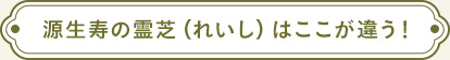 源生寿のおたね人参はここが違う！