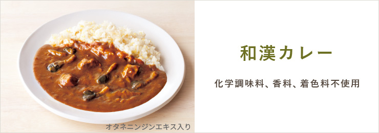 和漢カレー