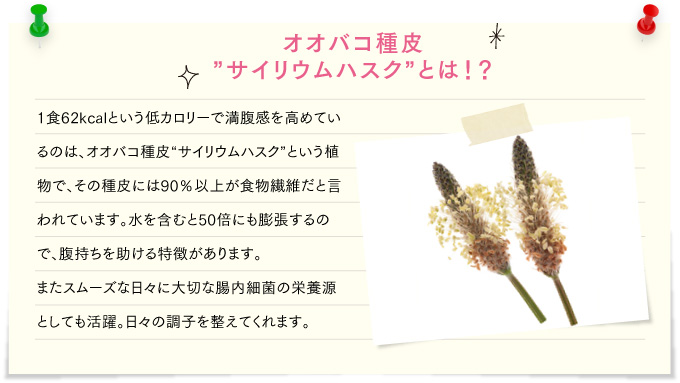 オオバコ
