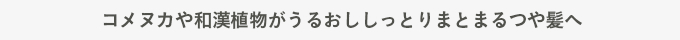 コメヌカや和漢植物がうるおししっとりまとまるつや髪へ