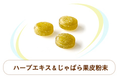 柑橘ミント味ではなスッキリ