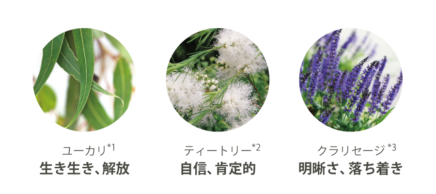 ユーカリ、ティートリー、クラリセージ
