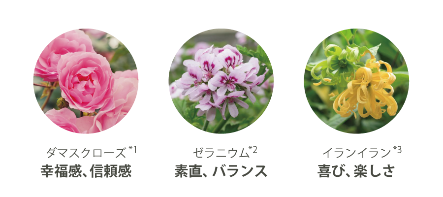 ダマスクローズ、ゼラニウム、イランイラン